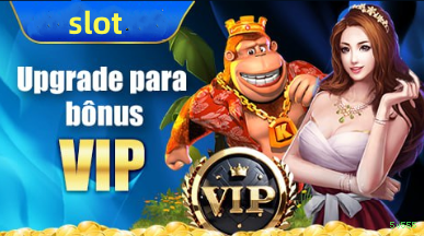 Suporte VIP 5v555 - atendimento prioritário